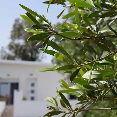Private Olive Bungalow *