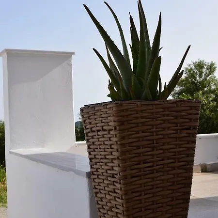Дом отдыха Private Olive Bungalow *
